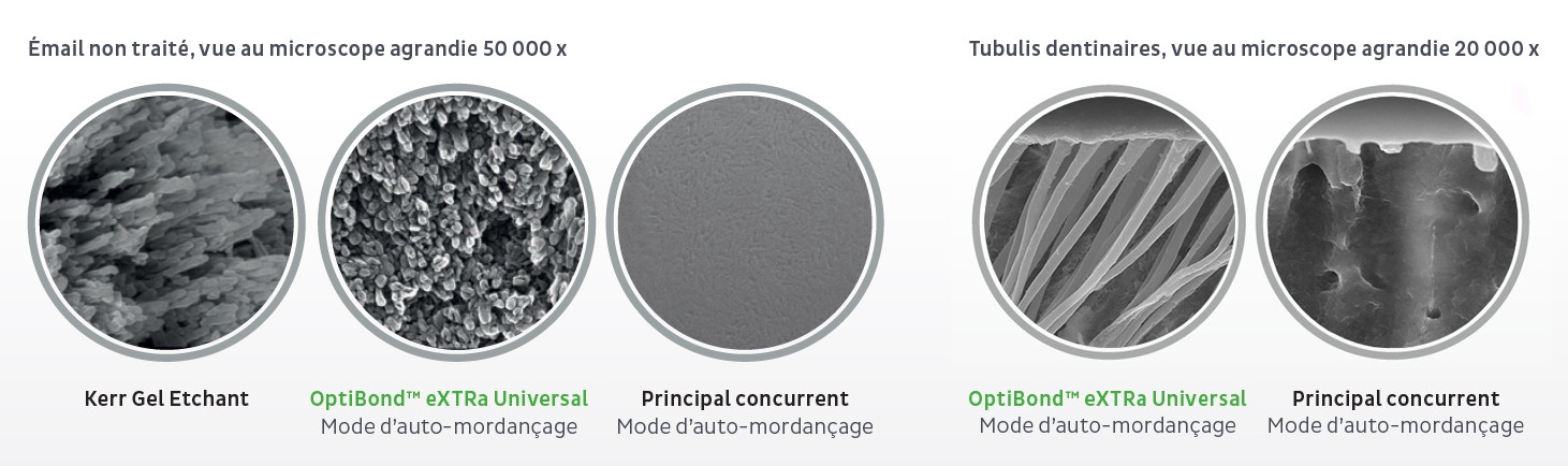 OptiBond_eXTRa_Effective_Plug_and_Seal_Action_FR