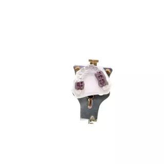 Galetti™Articulator
